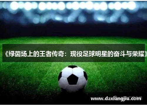 《绿茵场上的王者传奇：现役足球明星的奋斗与荣耀》
